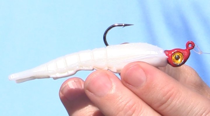 How To Retrieve A Gulp Shrimp Jig To Get More Strikes [Video]