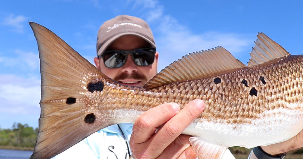 Redfish & Trout Can't Get Enough Of This Paddletail Lure