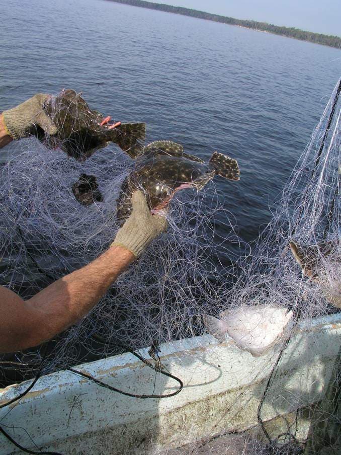  Gill Nets For Fishing