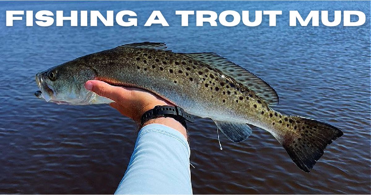 FISHING A TROUT MUD