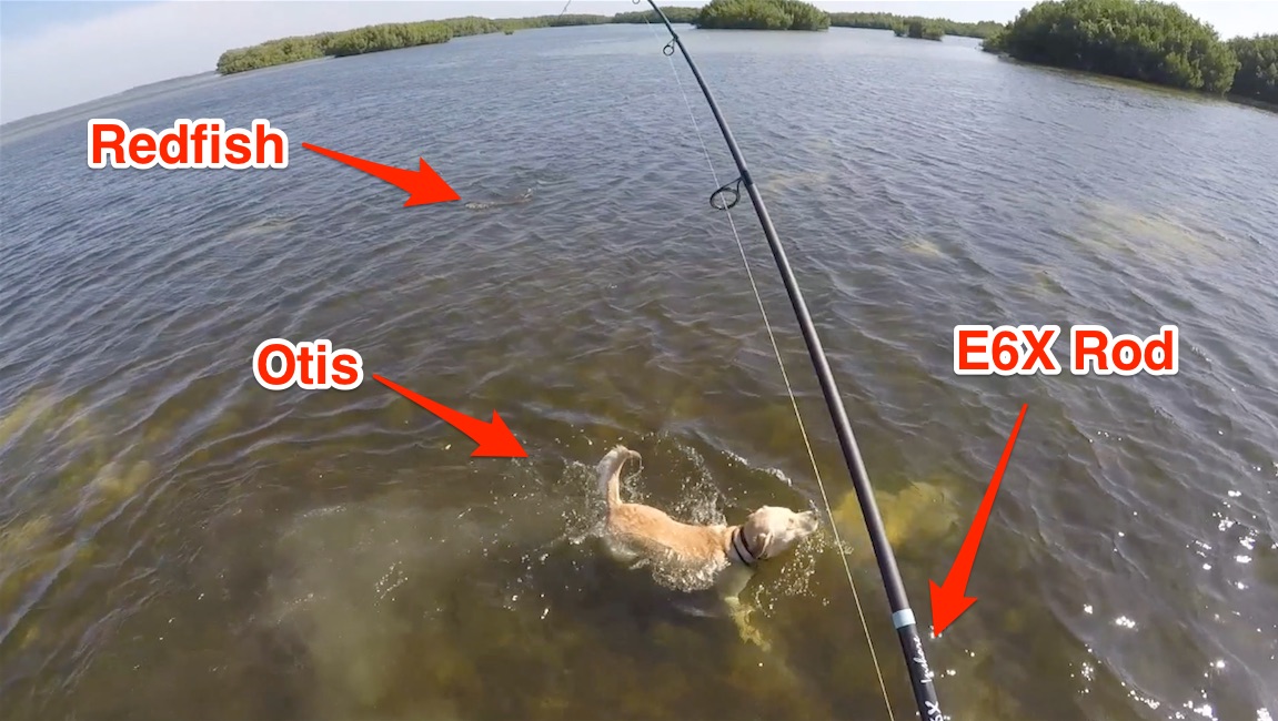 G Loomis E6X Inshore Rod Review [On-The-Water Performance]