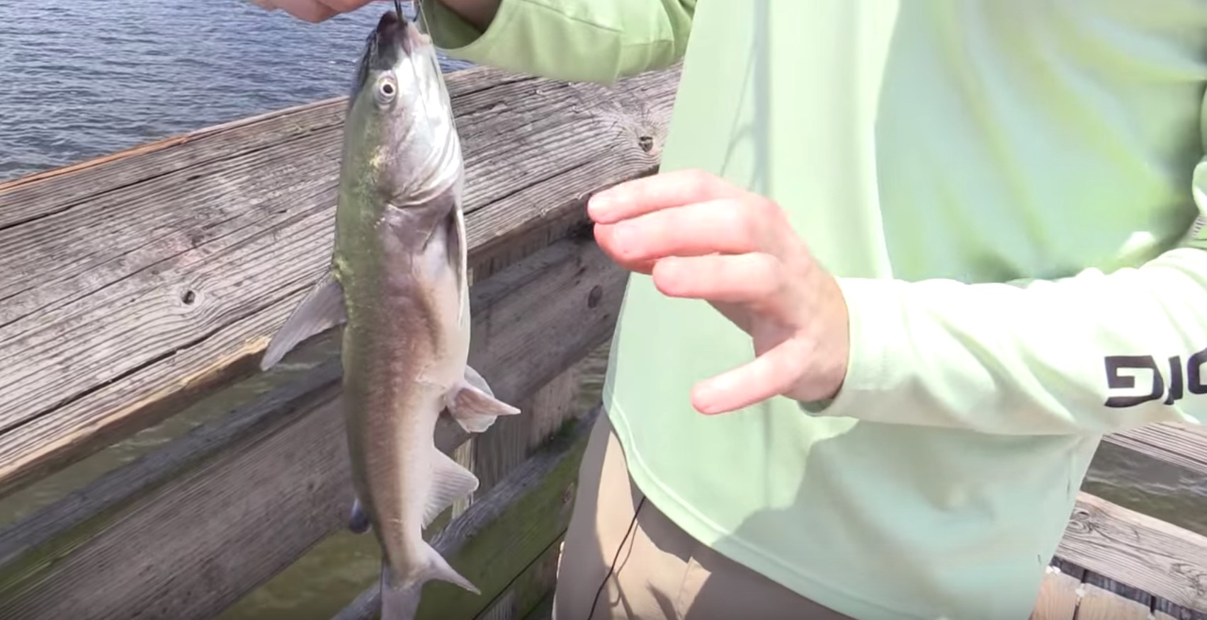 How To Unhook A Saltwater Catfish With Or Without Touching It [VIDEO]