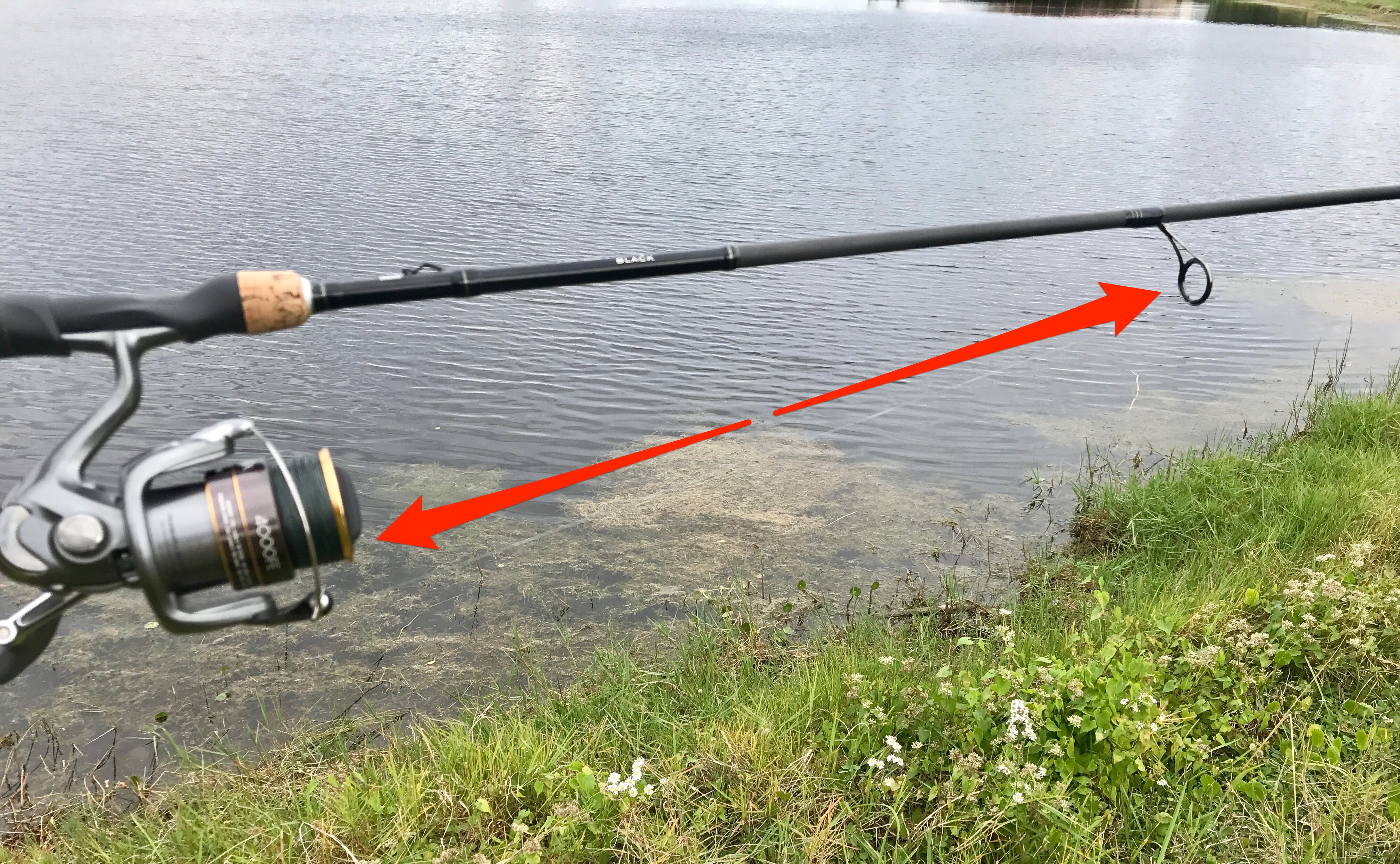 I've hit an inexplicable dry run of hits. I bought some new gear for float  fishing and I cannot get hits no matter where I go. Short casting. Long  casting. My lead