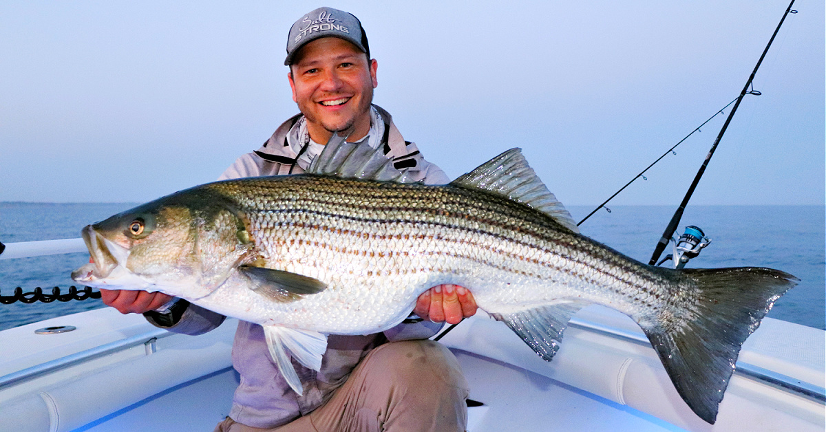 How to Fish for Striped Bass in Summer