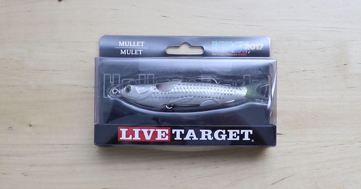 LIVETARGET Hollow Body Mullet Review [Pros, Cons & Video Review]