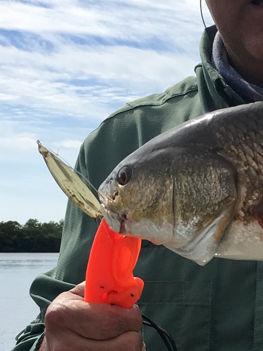 The Ultimate Guide To The Best Redfish Lures 