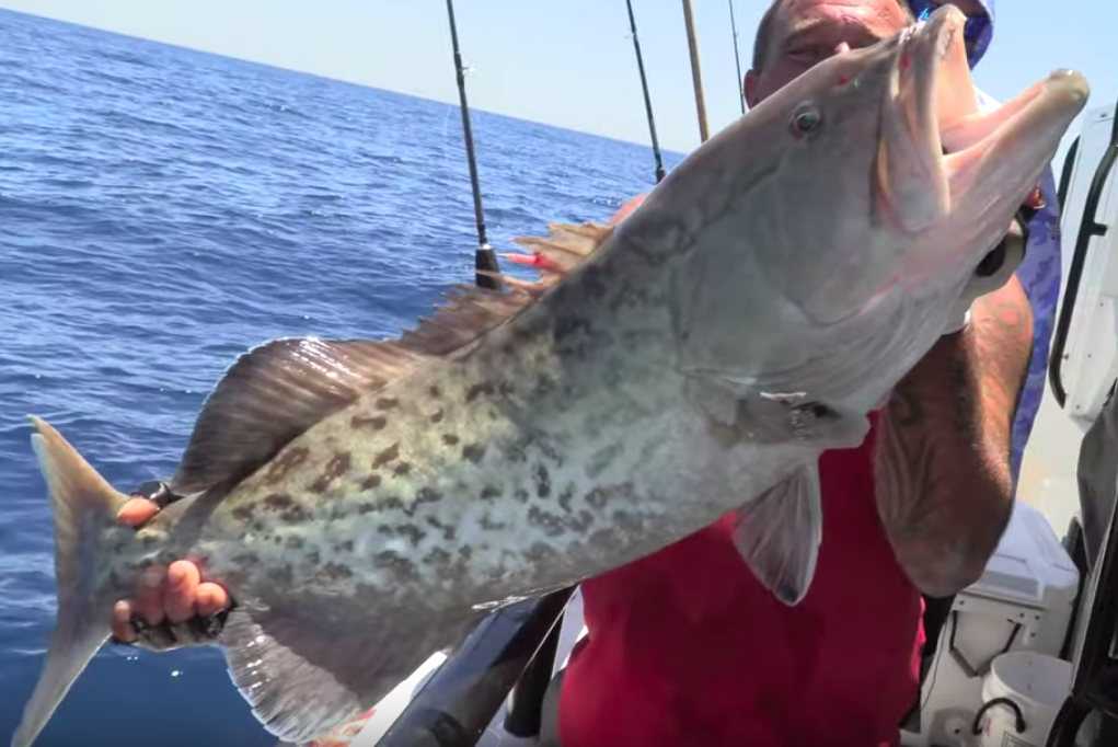 How To Save Time When Grouper Fishing (Grouper Rig Storage Tip)
