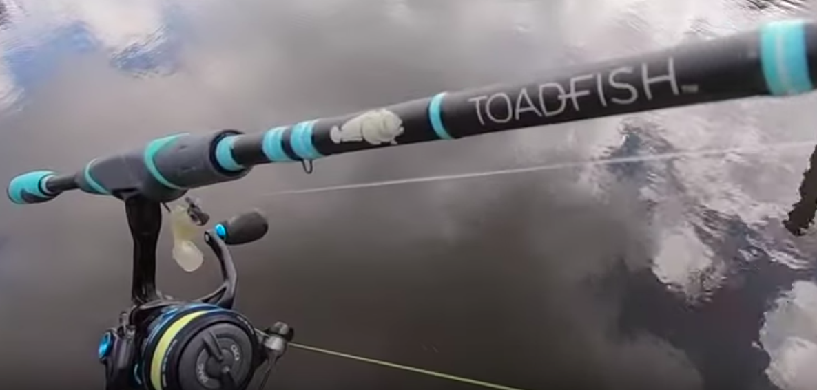 Toadfish 3000 Elite Carbon Series Spinning Reel - Saltwater