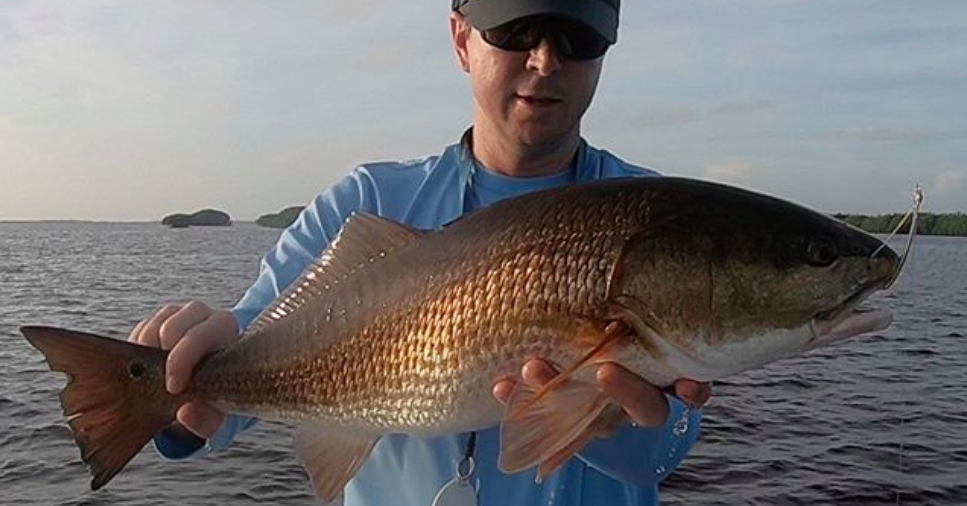 3 Tips To Catch Inshore Slams On Gold Spoons In Fall & Winter