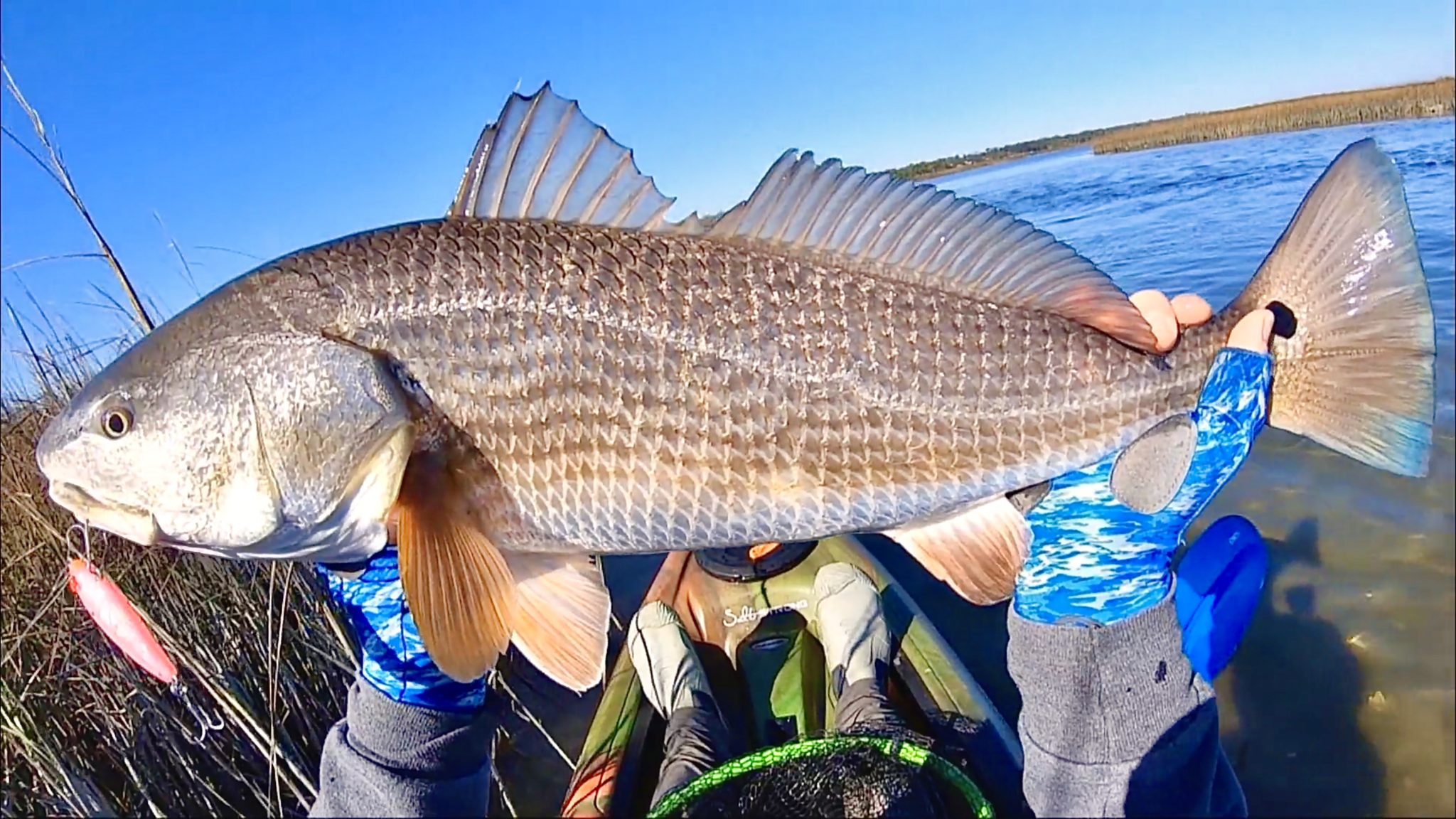 How To Catch Redfish In Coastal Creeks (On Incoming & Outgoing Tides)