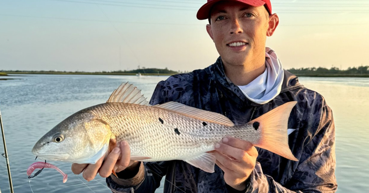 Sand Fleas, Beach Snook, Inshore Slam (Salt Strong Newsletter)