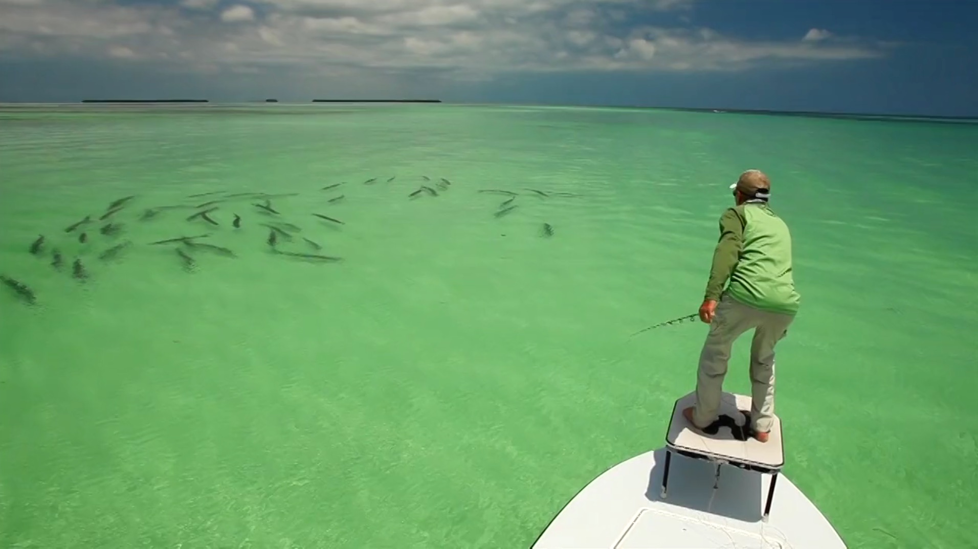 This Amazing Tarpon Video Could Be Its Own Movie. Must Watch!