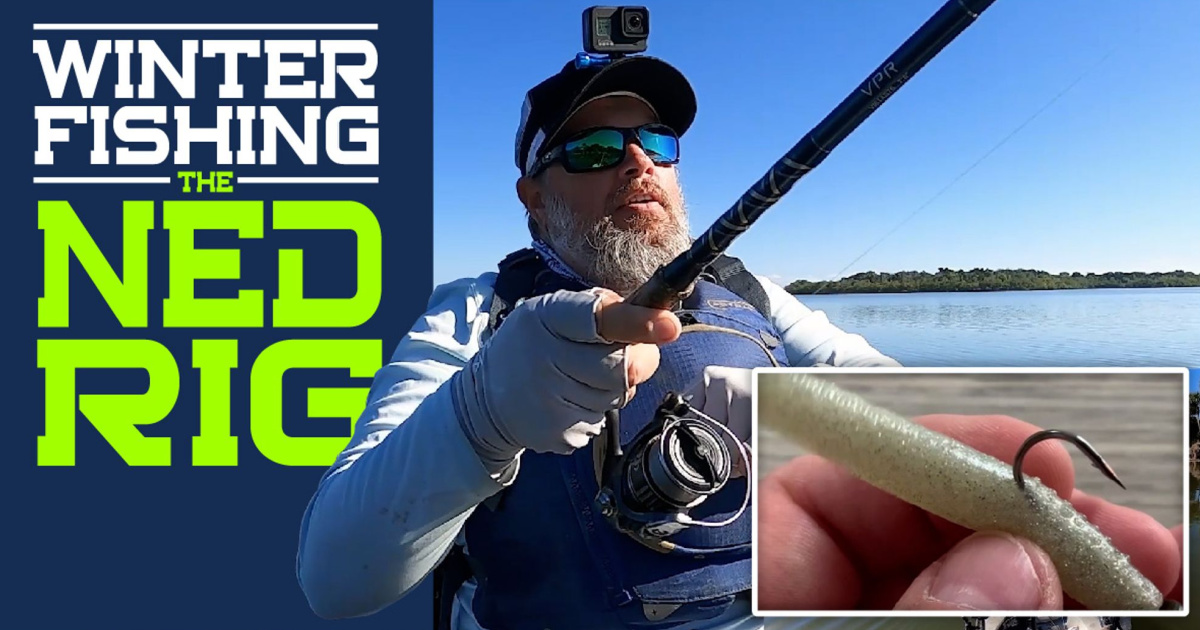 What's New with Ned?: Exploring New Ned Rig Soft Plastics