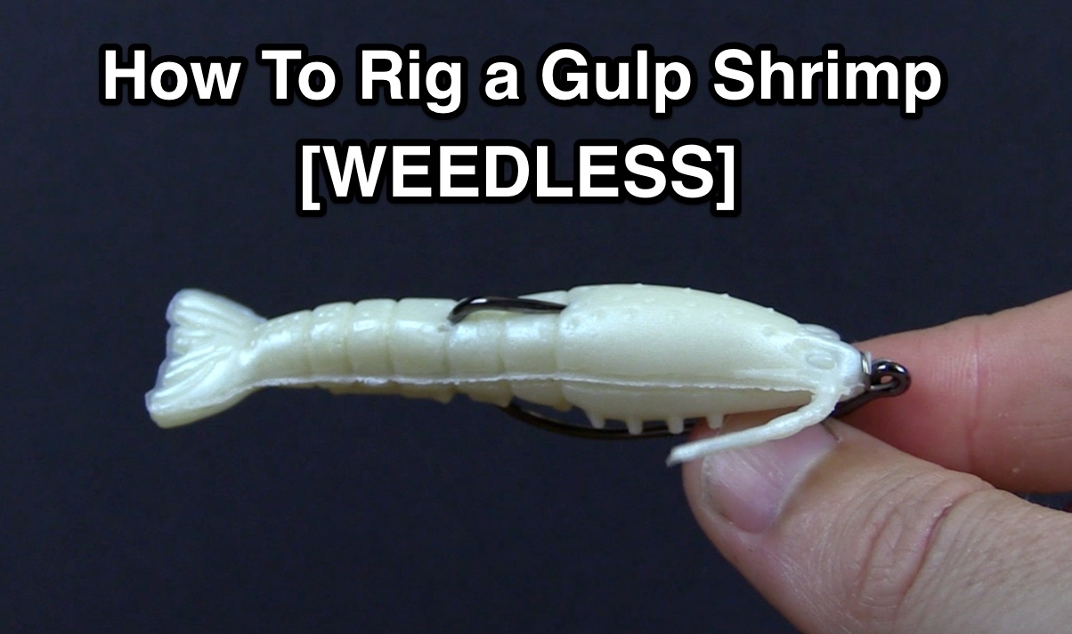 How To Rig A WEEDLESS Gulp Shrimp [VIDEO]