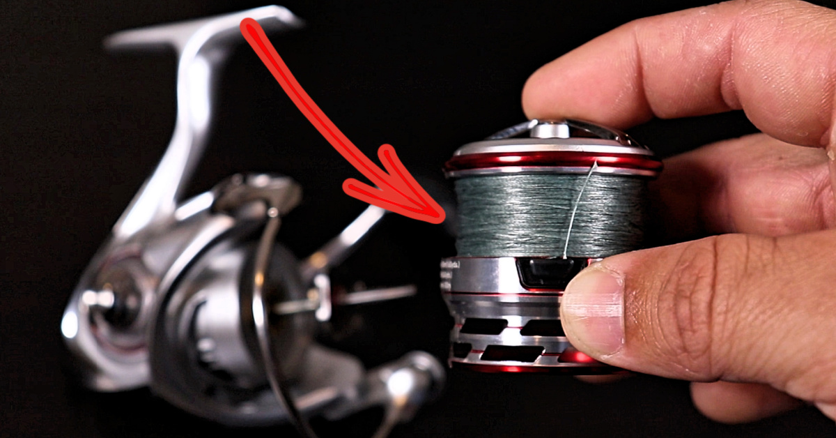 This Is When You Should Replace Your Fishing Line
