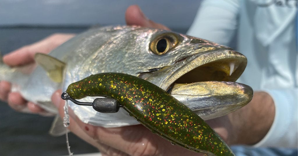 YOU NEED THIS LURE!!/BEST CORKY FOR TOUGH SPECKLED TROUT!!! 