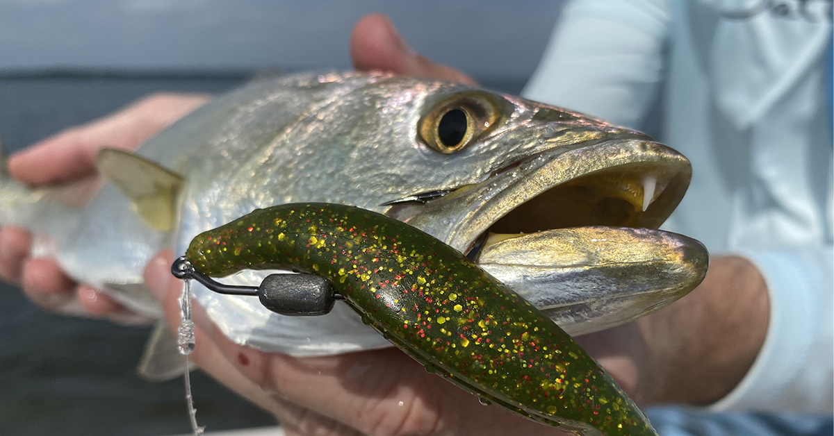 Fishing With NEW SOFT PLASTICS For TROUT! (GREAT RESULTS) 