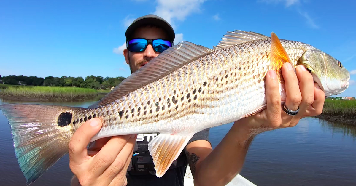 How to Catch Slot Redfish, for Beginners