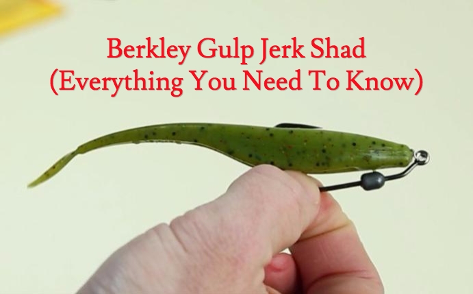 Berkley Gulp Jerk Shad: Everything You Need To Know