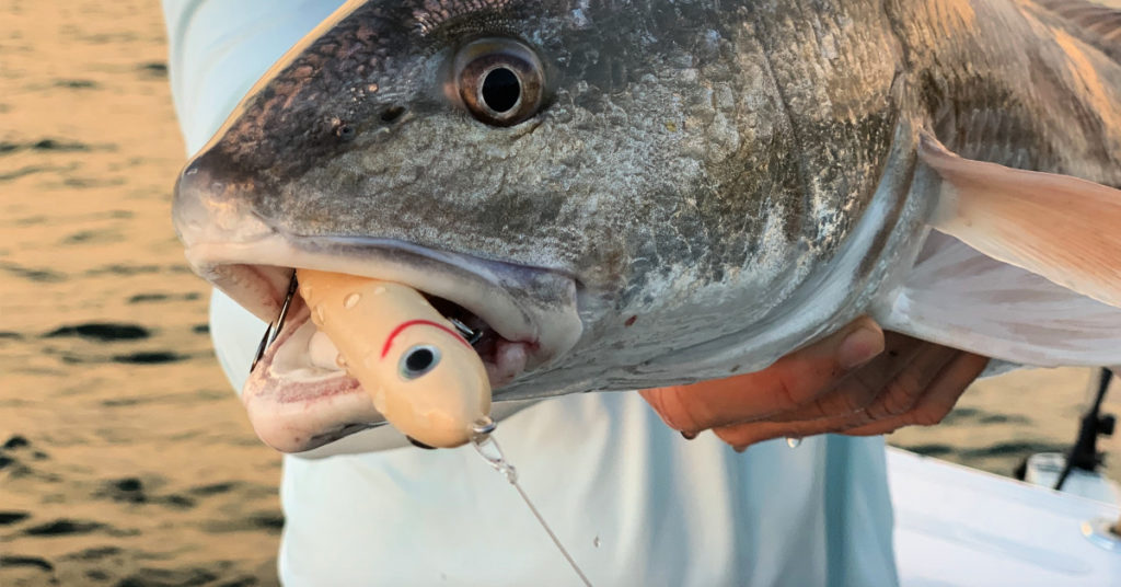 This Is How To Catch More Fish On Topwater This Spring