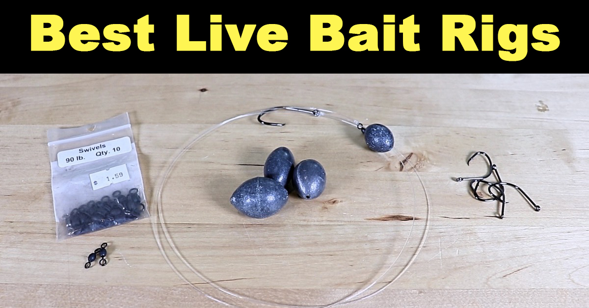 Best Live Bait Rigs For Inshore Fishing (To Rig Shrimp, Pinfish, Mullet)