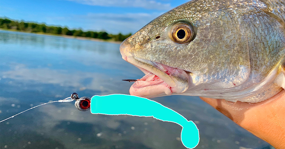 This Is The #1 Lure For Fall Fishing (For Redfish, Flounder, Trout