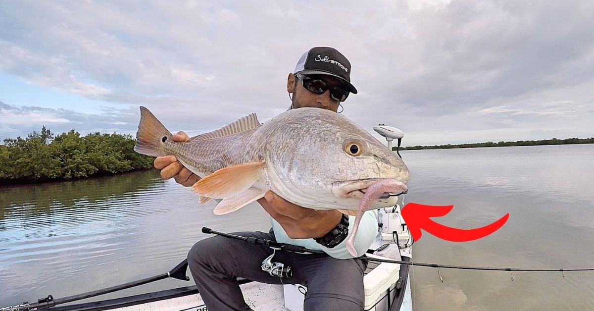 What Is The Best Lure For Spring Redfish?