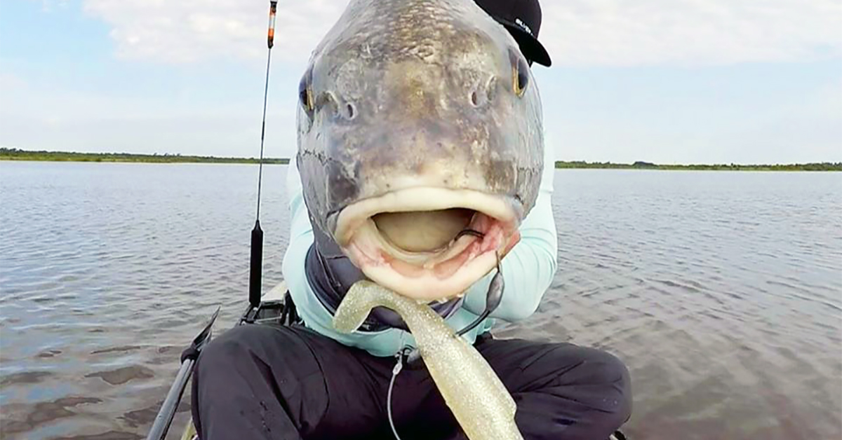 4 Best Fishing Lures For Black Drum (When To Use & How To Rig Them)