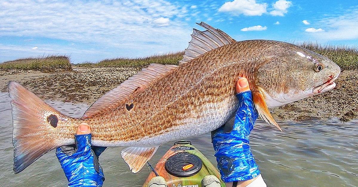 Top 3 Lures For Fishing Coastal Marshes (For Redfish, Trout, & Flounder)