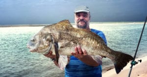 How To Catch Black Drum (Plus Free PDF Catch Card)