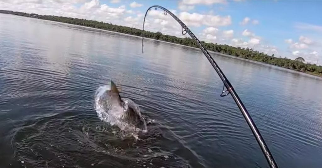 Is Your Line Causing You To Miss Fish? (Thin vs. Thick Diameter Line)