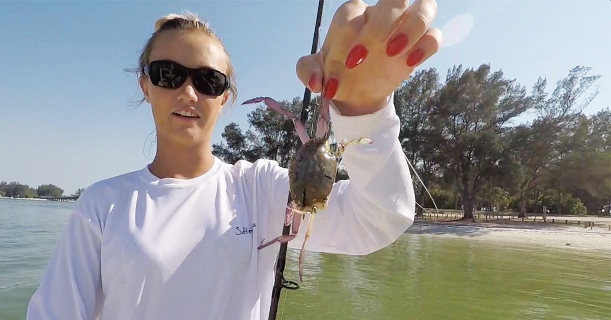 Best Way To Hook Pass Crabs For Catching Tarpon And Permit