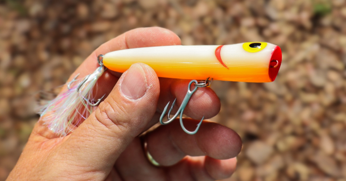 Use This Timeless Topwater Lure If You Are Struggling To Get Strikes
