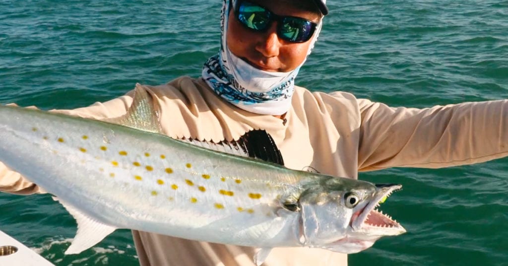 How to Catch Spanish Mackerel-Tips from a Florida Captain