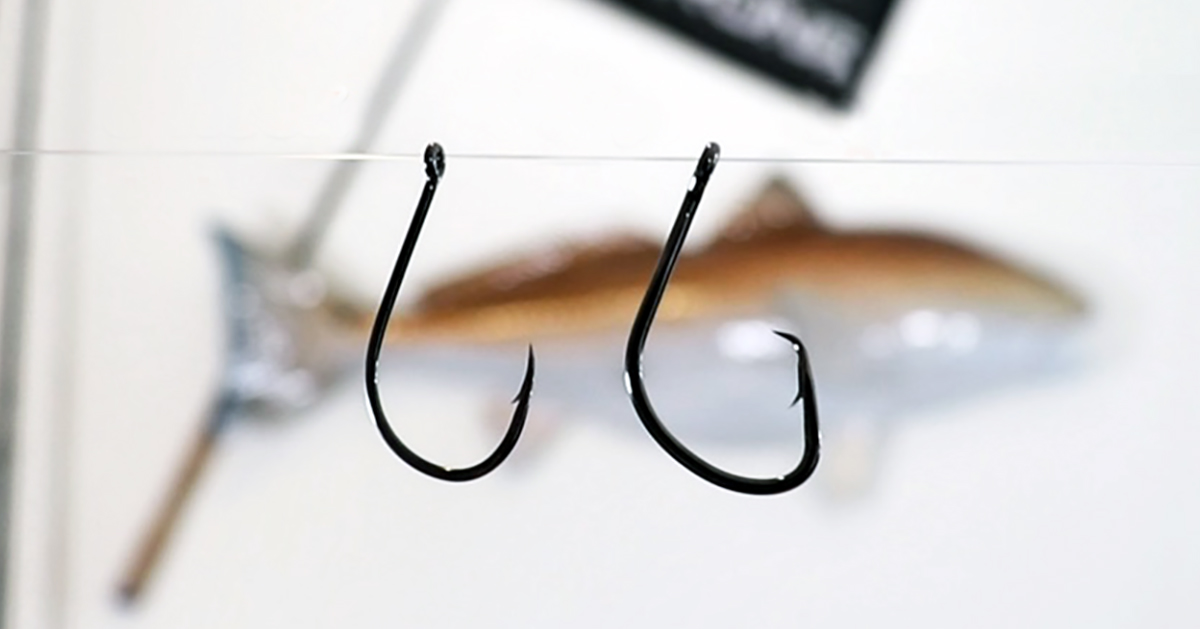 Circle Hooks vs. J Hooks: When To Use Each Hook When Fishing With