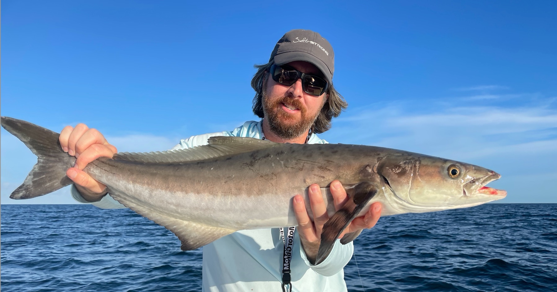 This Was The Best Cobia Bite Of My Life [Nearshore Fishing]