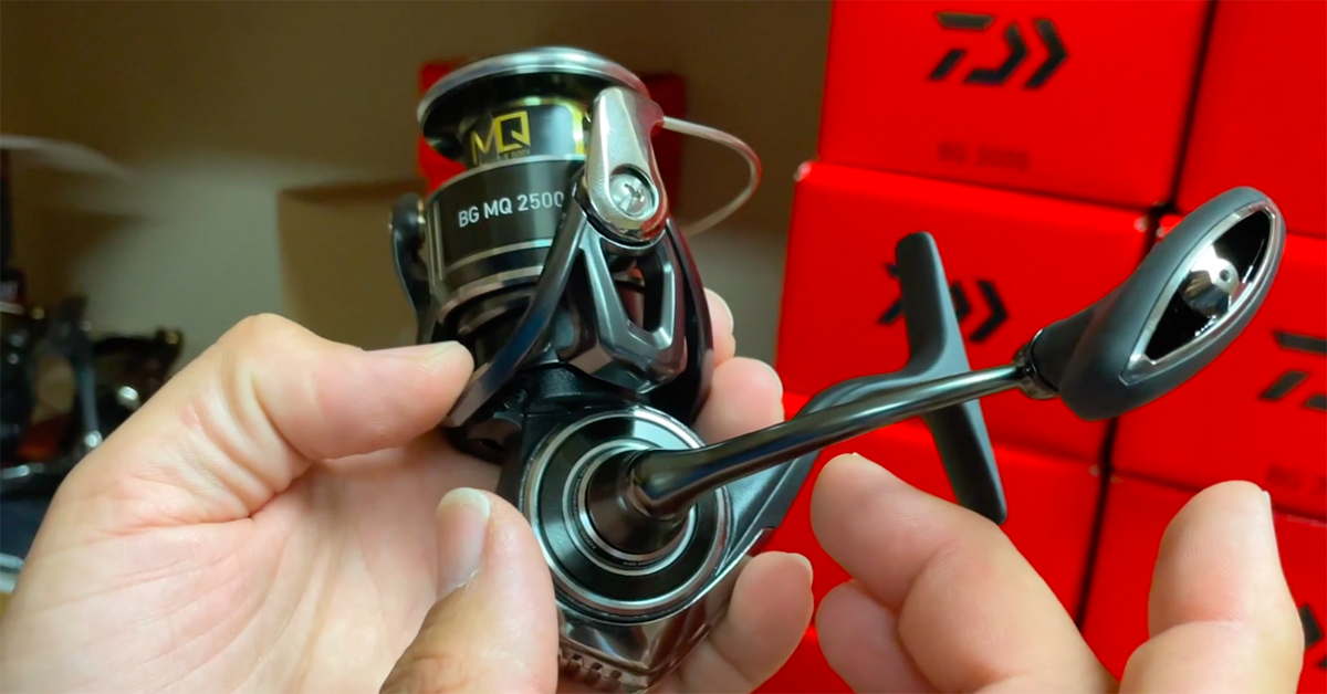 Daiwa BG Spinning Reels - Review, Size Comparisons & Dimensions