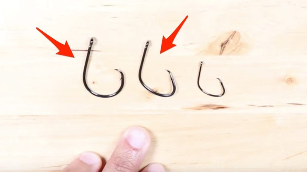 How To Choose The Right Size Circle Hook (For Live vs Dead vs Cut Bait)