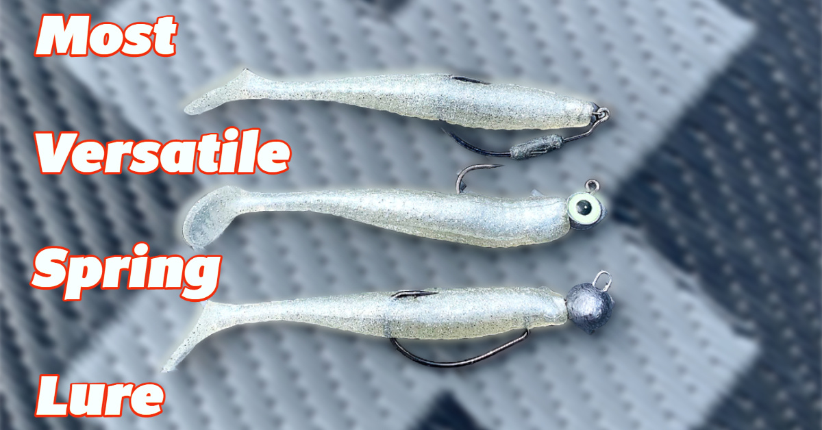 Best soft plastic fishing lures must-have for inshore saltwater fishing