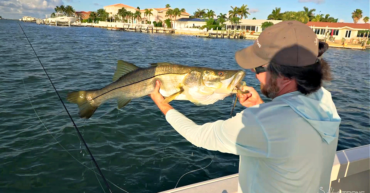 The Best Value Spinning Combo For Dock Fishing [Rod & Reel]