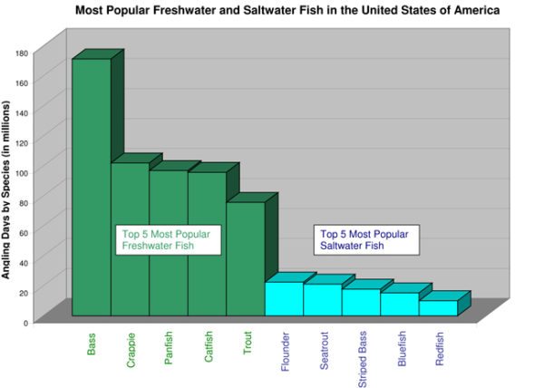 top-5-most-popular-game-fish-in-america-freshwater-saltwater