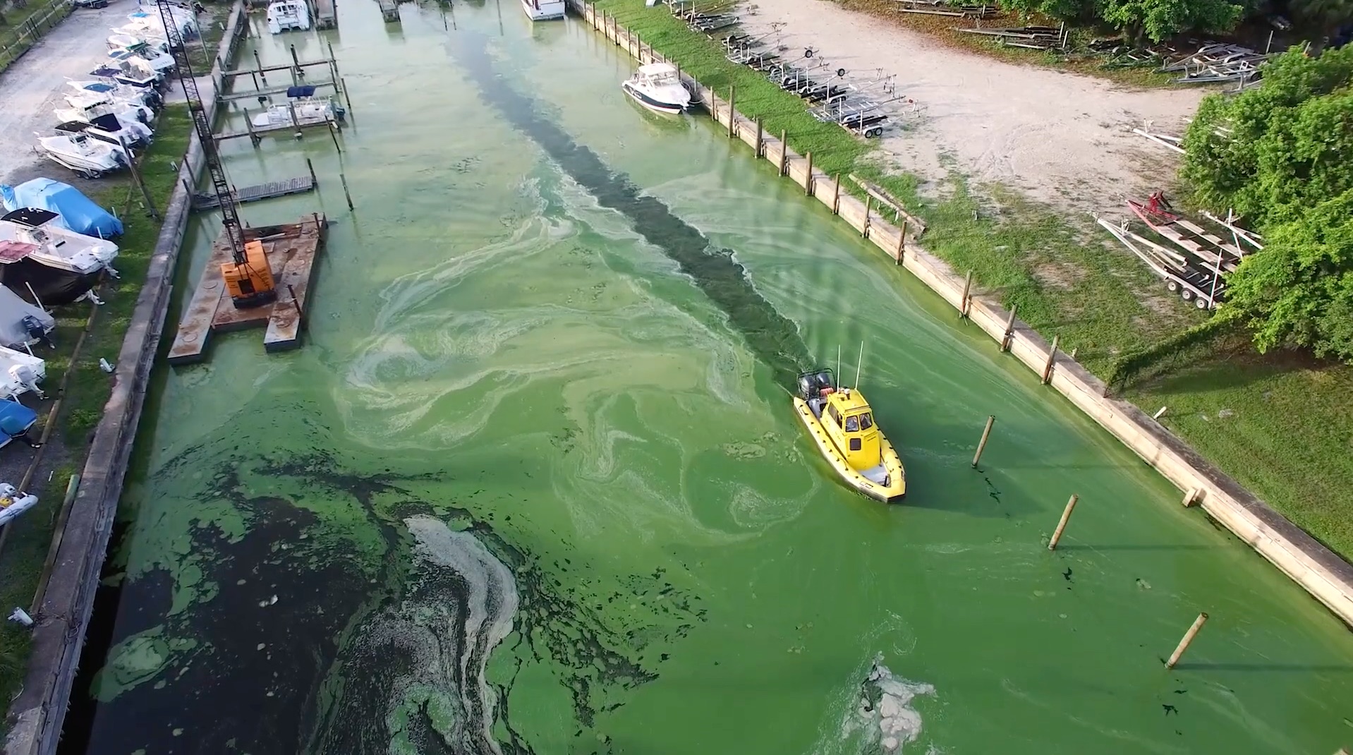 The Truth About Algae Blooms And Water Mismanagement In Florida.