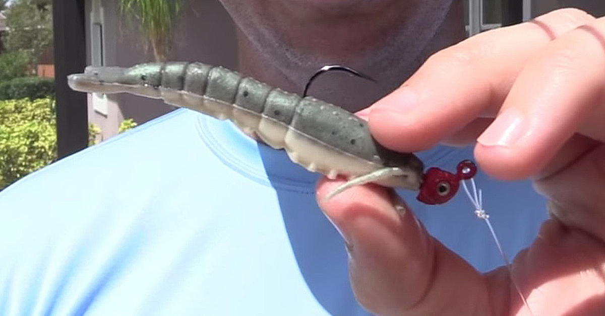 How To Use Gulp Shrimp [Review & Underwater Footage]
