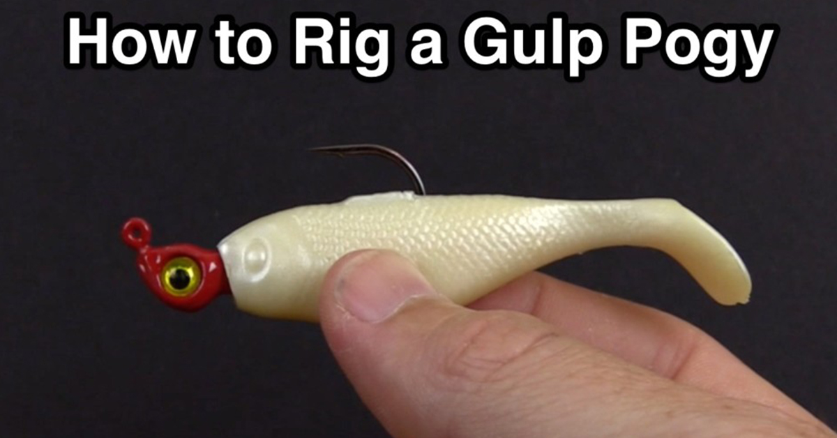 How To Rig A Berkley Gulp Pogy Soft Plastic To Catch More Fish [VIDEO]