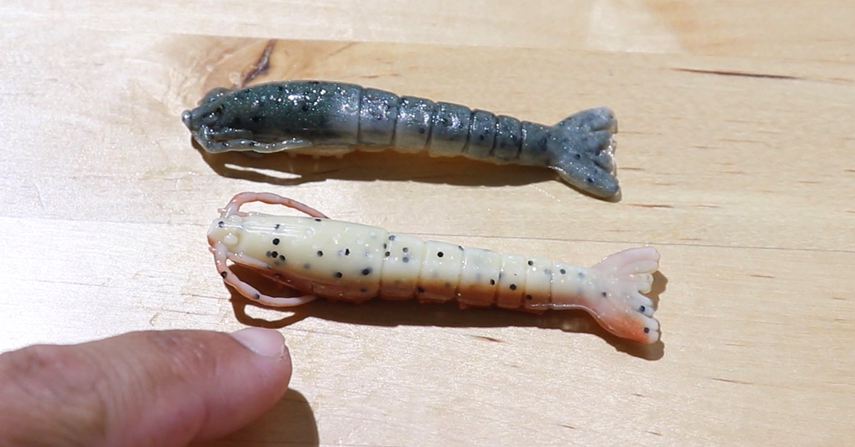 Gulp Shrimp: Are You Rigging Them Upside Down By Accident?