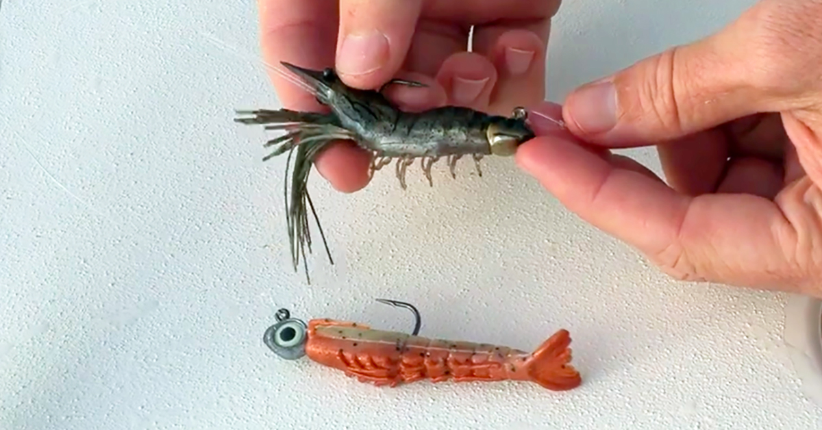 Gulp Shrimp vs. LIVETARGET Fleeing Shrimp (Scent vs. Sight Tests)