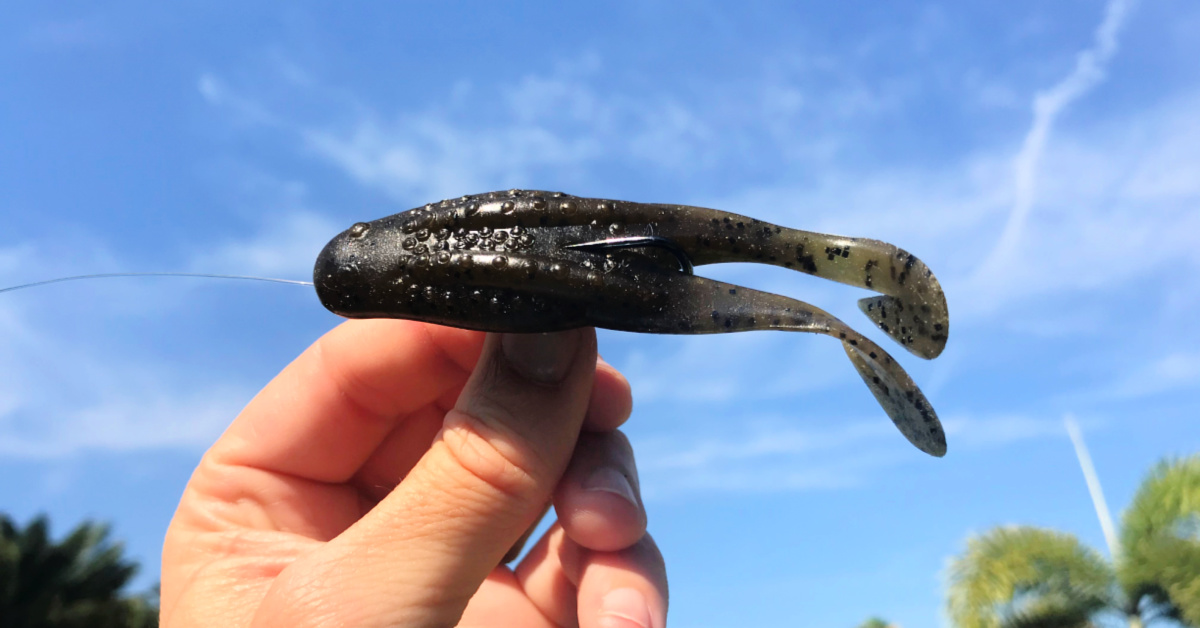 How To Use A Frog Lure To Catch Snook, Trout, & Redfish