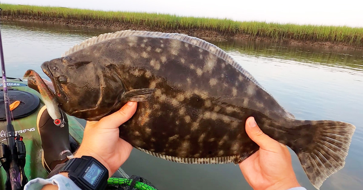 Where & When To Catch Inshore Flounder (No Matter Where You Live)