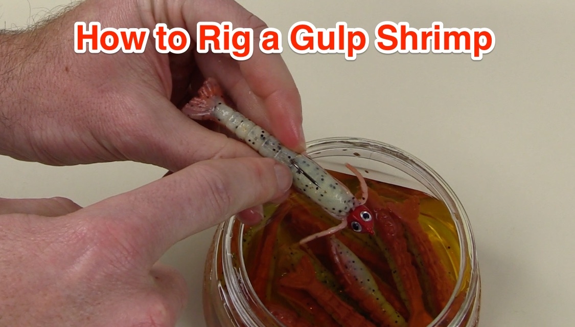 How To Rig Berkley Gulp Saltwater Shrimp For More Bites [VIDEO]