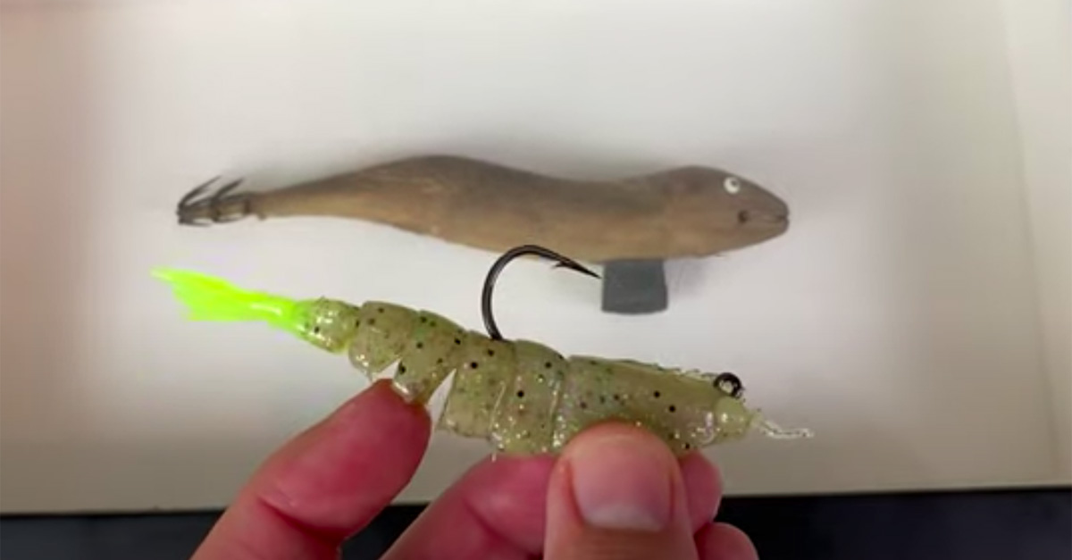 This Antique Squid Fishing Lure Has An Incredible Story